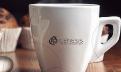 Laura Lafayette: uma vida dedicada à Gestão de Pessoas