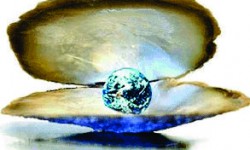 coaching, counseling e mentoring