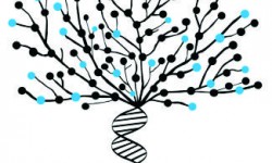 saúde integral e bem-estar