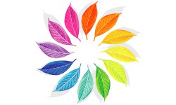 liderança transformacional